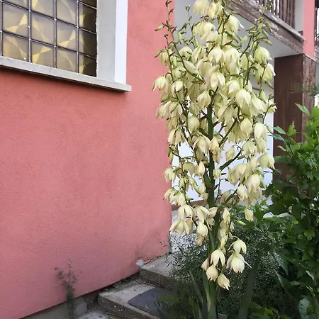 éva Apartman * Bük
